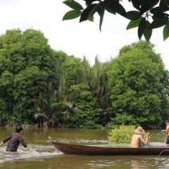 “Tôm sạch” lên ngôi